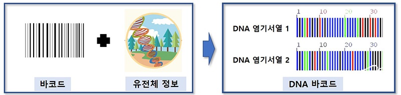 DNA 바코드 개념도 보도 22.jpg