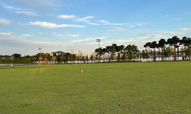 69fac85f1ab5a.jpg