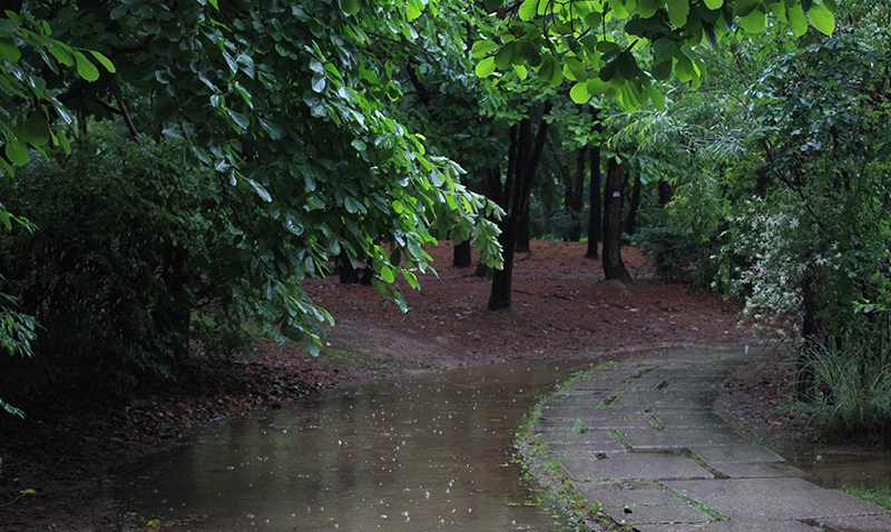 6a45fe3985b06.jpg