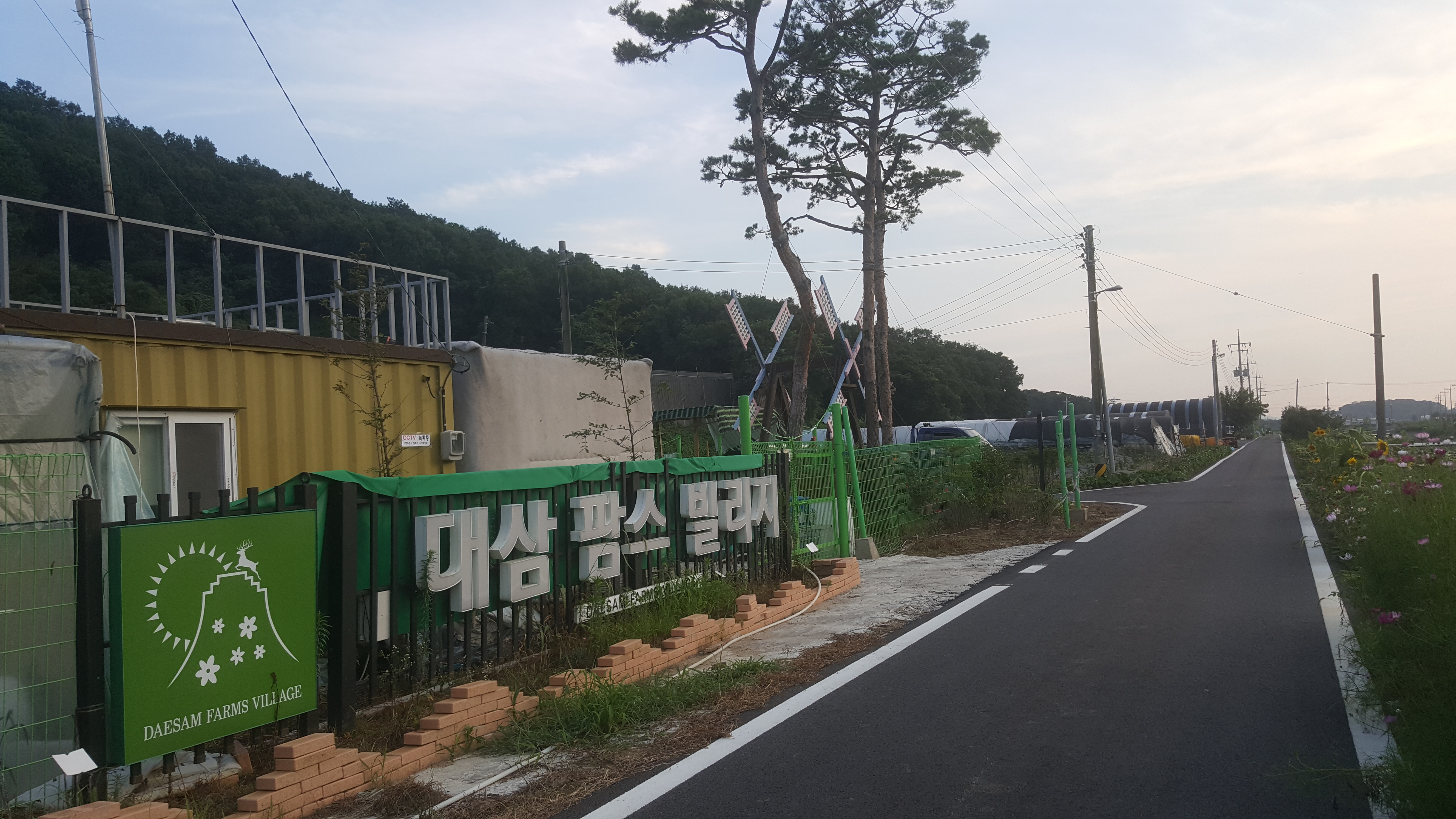 대삼팜스빌리지 로고