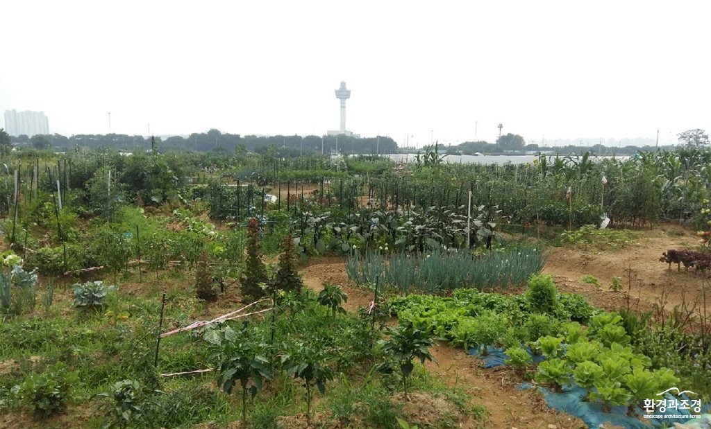 구리1.jpg