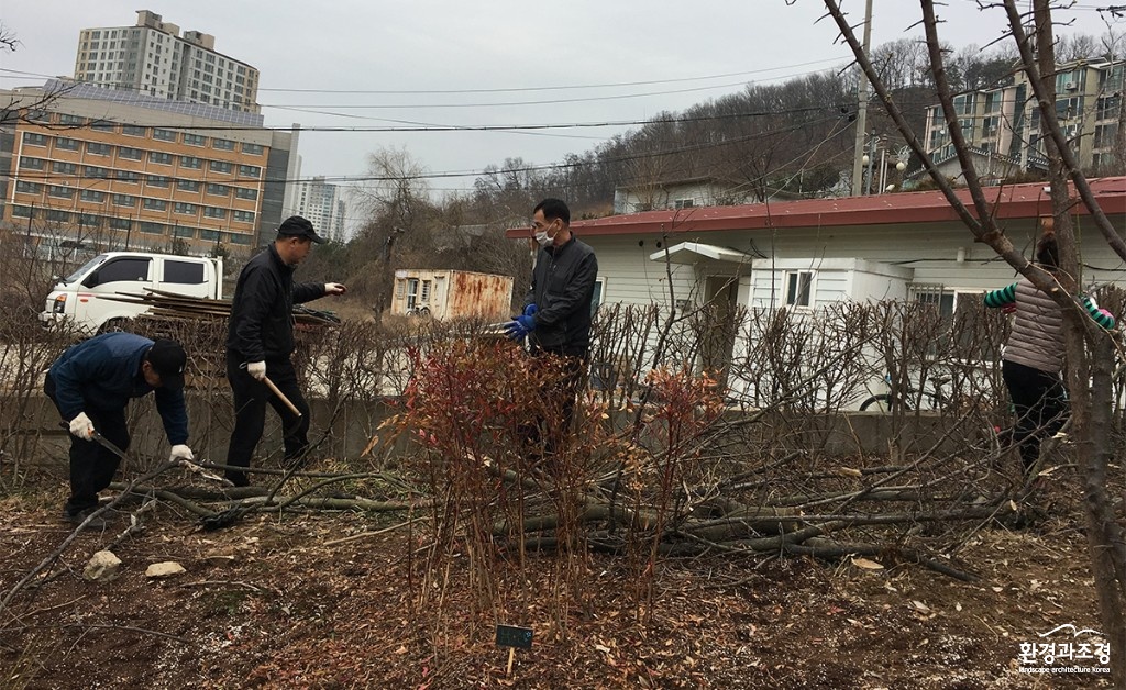 전정1.jpg