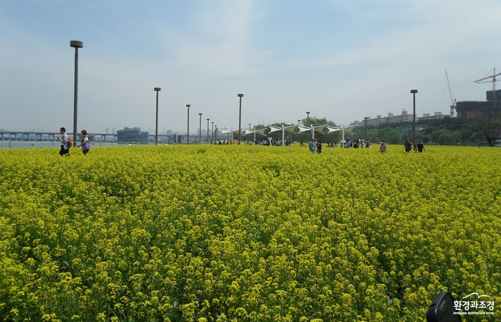 꽃길 2.jpg