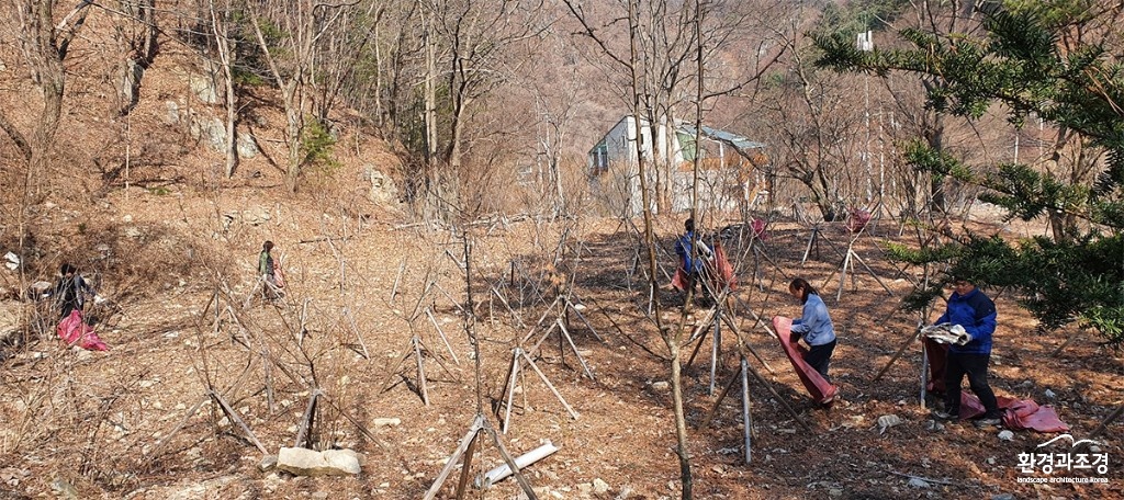 경기1.jpg