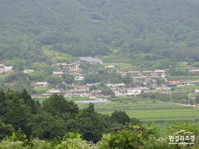 mw 01.JPG