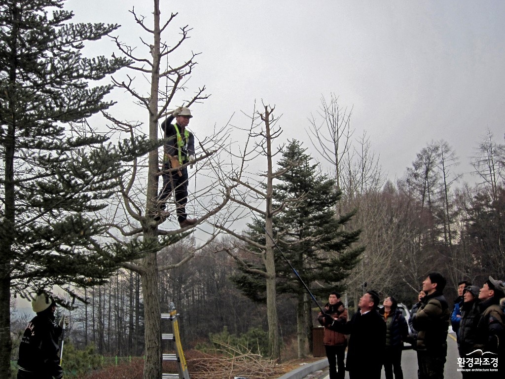 1. 가로수기술자 교육.jpg