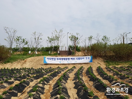 1-2. 라벤터 식재사진.jpg