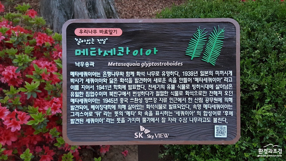 우리나무바로알기1.jpg