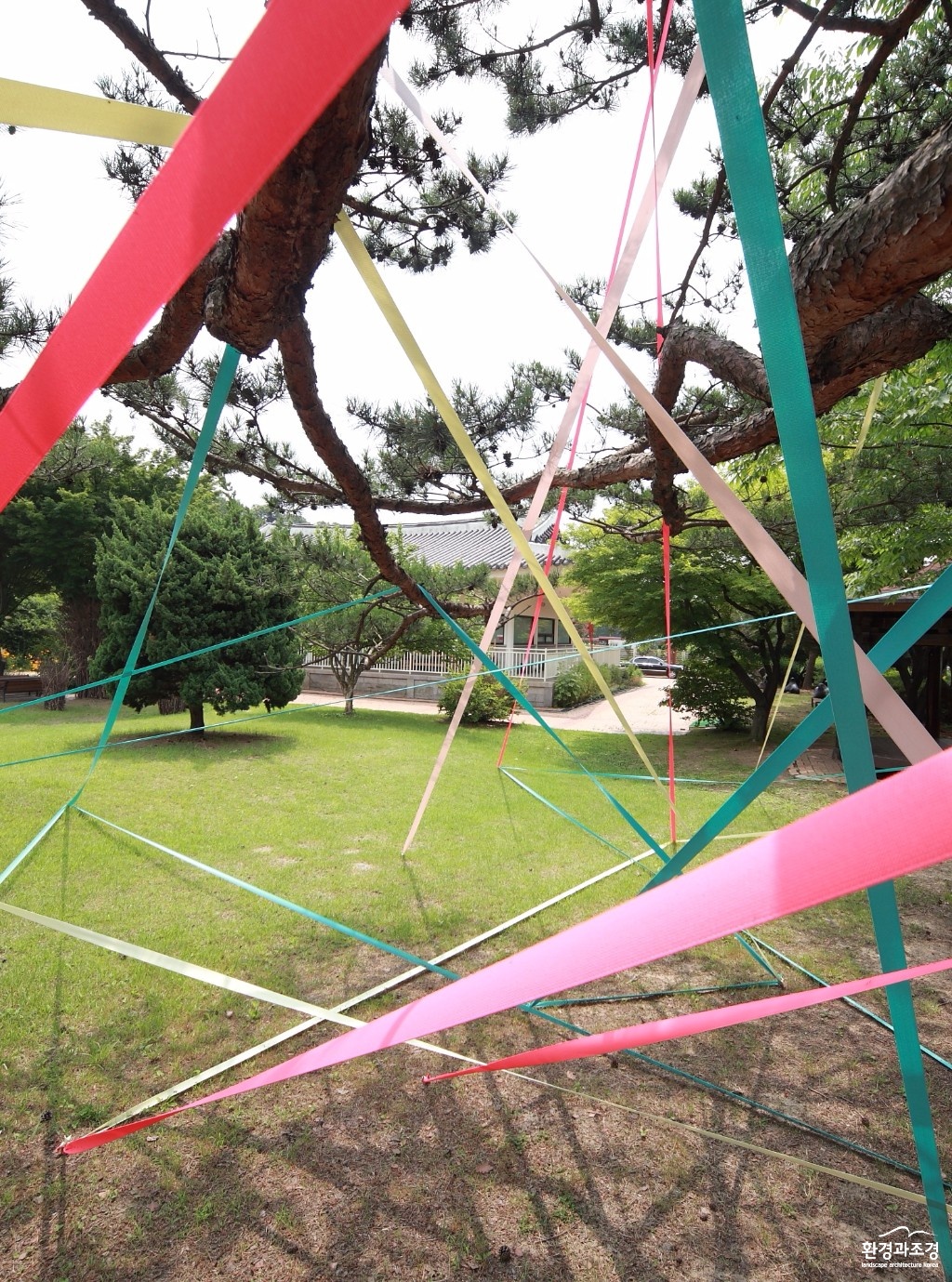 8.김도희, 지지대나무, 2016, 고탄성 칼라 밴드, 타프, 가변설치.JPG