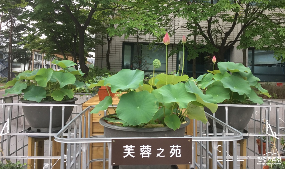 부용지원.jpg