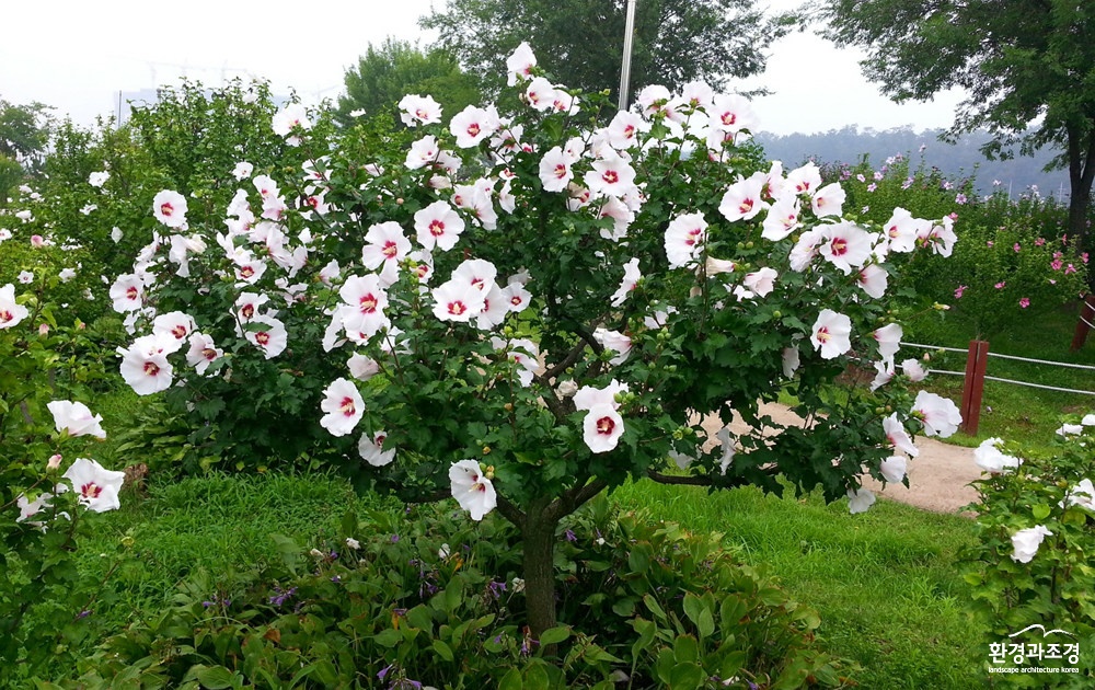 사진1. 안산호수공원(최우수상).jpg