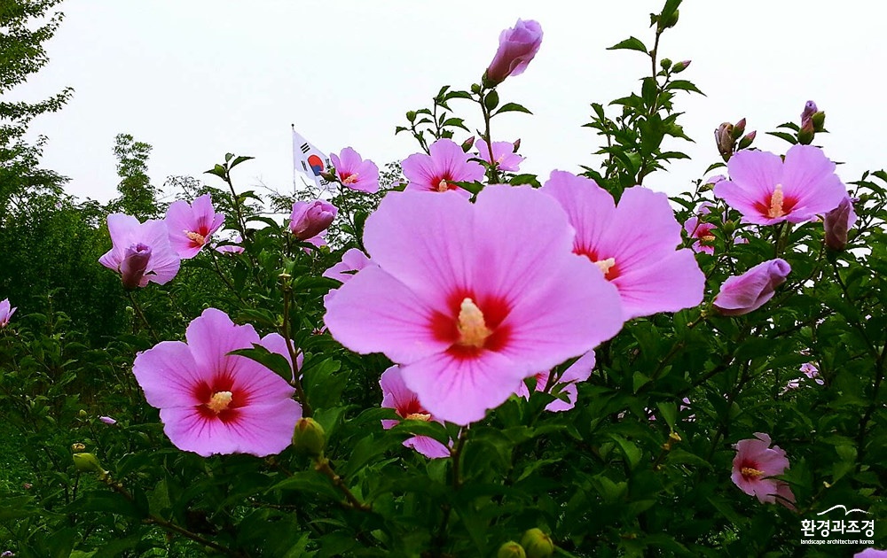 사진2. 해미읍성(우수상).jpg