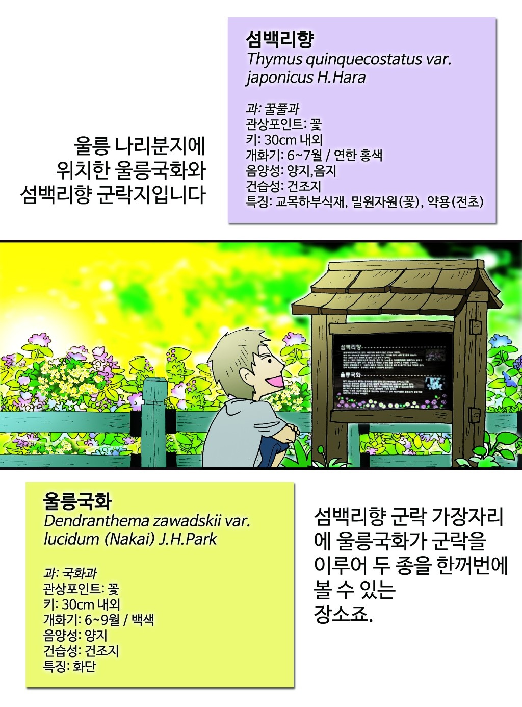 02.jpg
