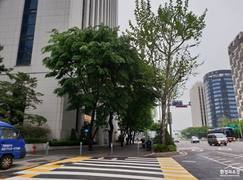 사본 -마포대로(건물앞 수목과 가로수).jpg
