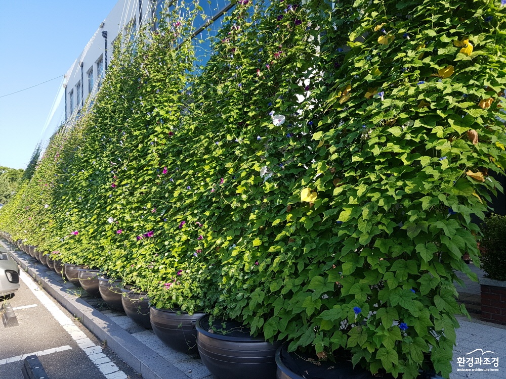 사본 -수원시‘그린커튼’전국으로확산된다1(.jpg