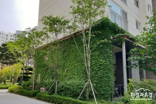 벽면녹화.jpg