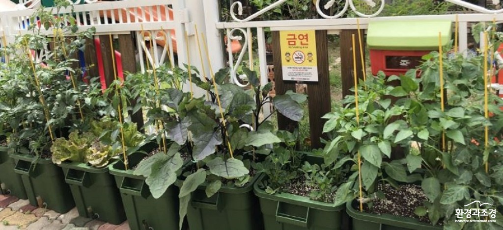 5 텃밭정원 지원사업 자료 사진.JPG