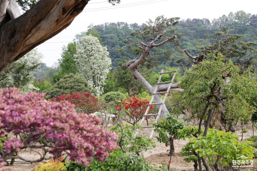 도강농원 (6).jpg