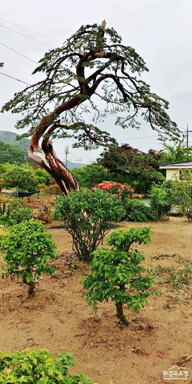 KakaoTalk_20190801_164512730.jpg