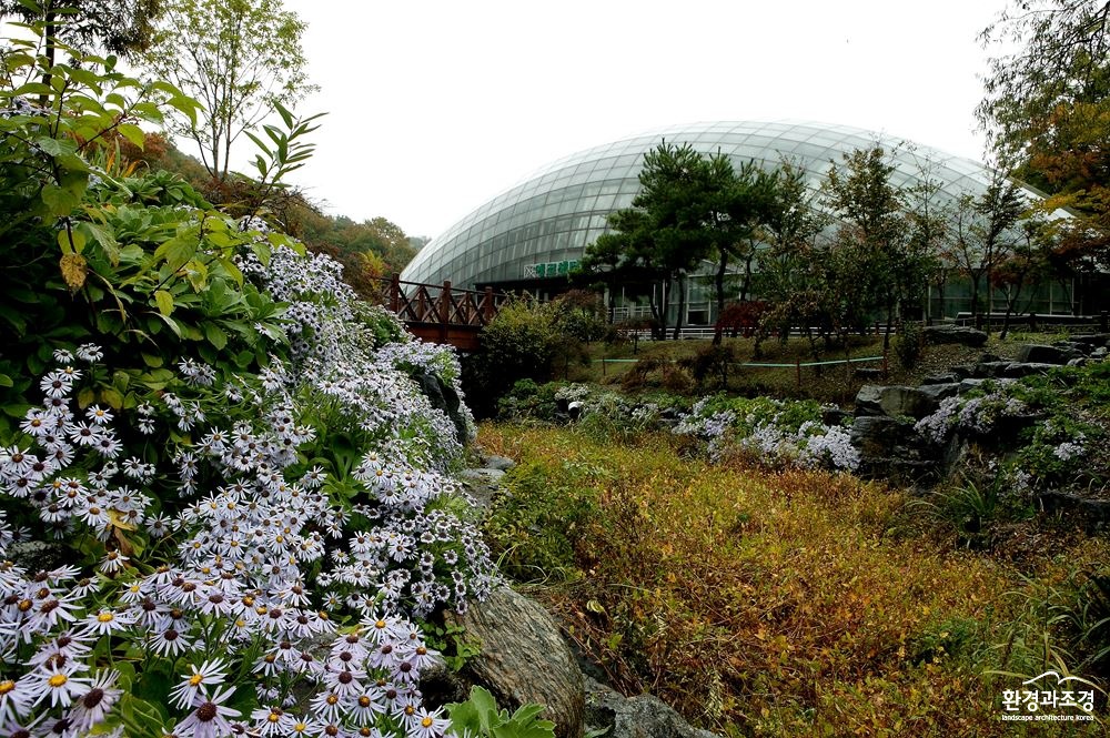 해국_201910 (1).jpg