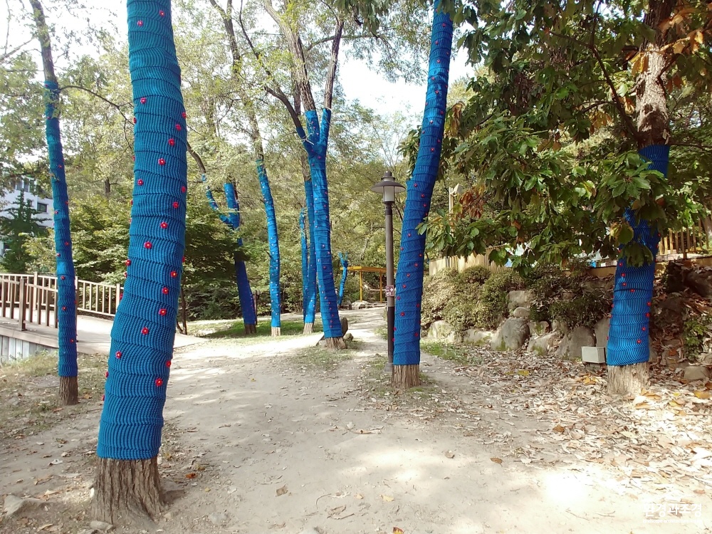 20191025_123144.jpg