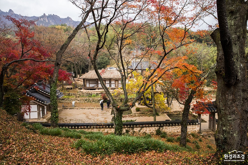 10대뉴스6.jpg
