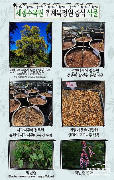 산림청1.jpg