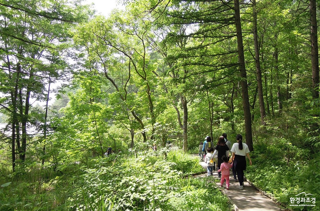 산림1.jpg