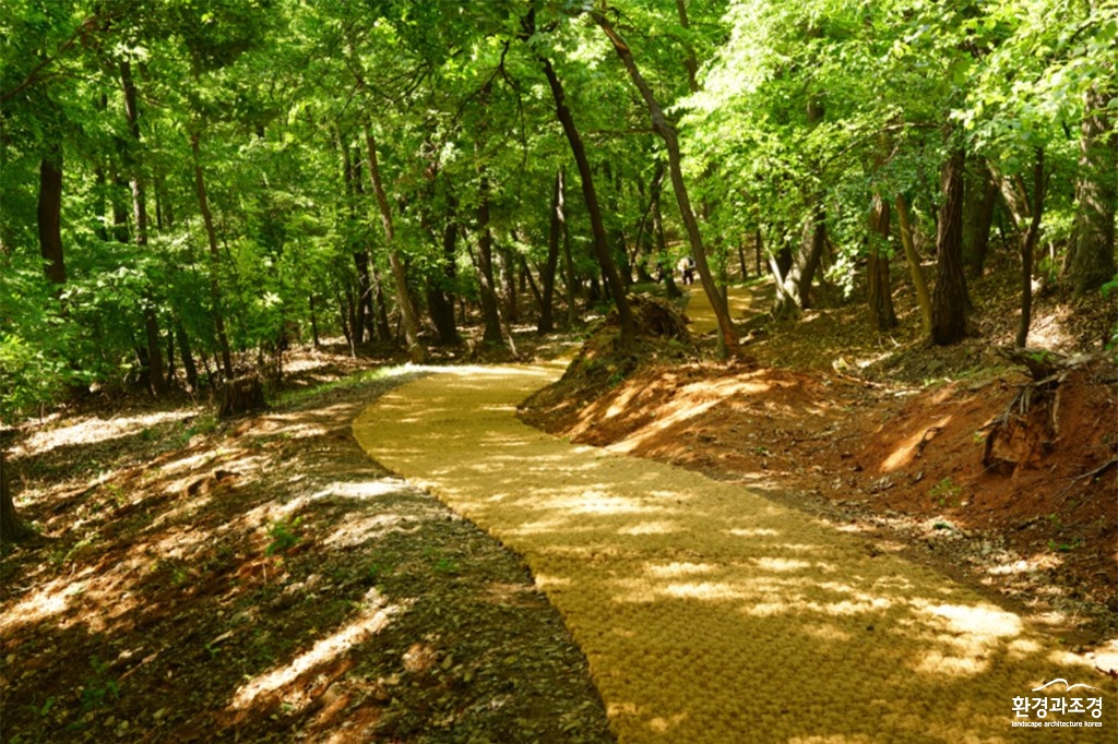 숲길1.jpg