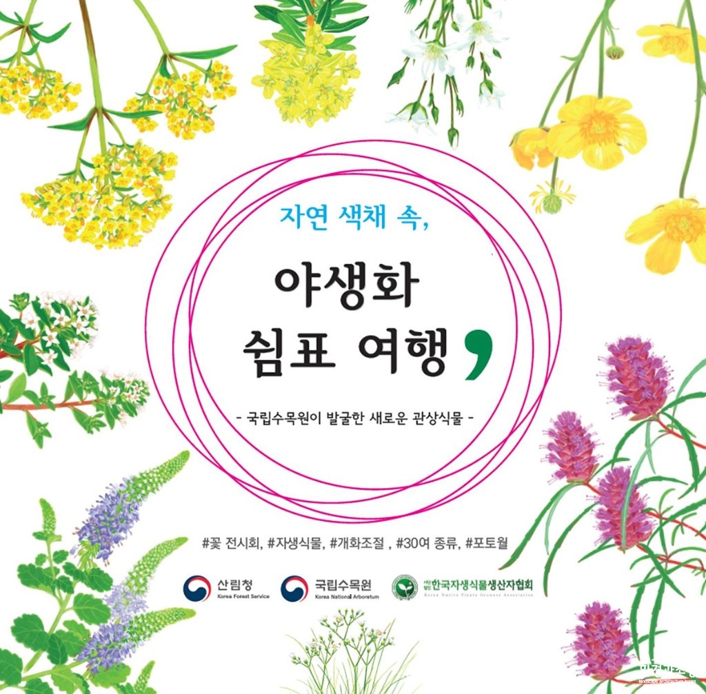 야생화쉼표여행.jpg