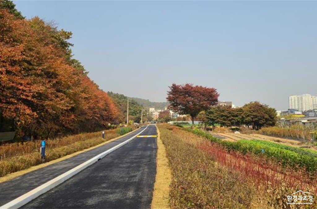 성남시 궁내동 보도.jpg