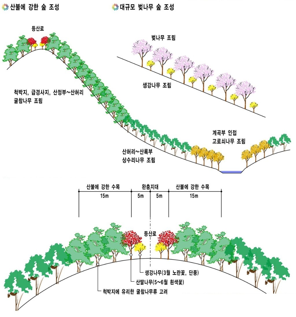 산불에 강한.jpg