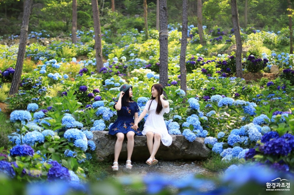 22-현산면 포레스트수목원 보도.jpg