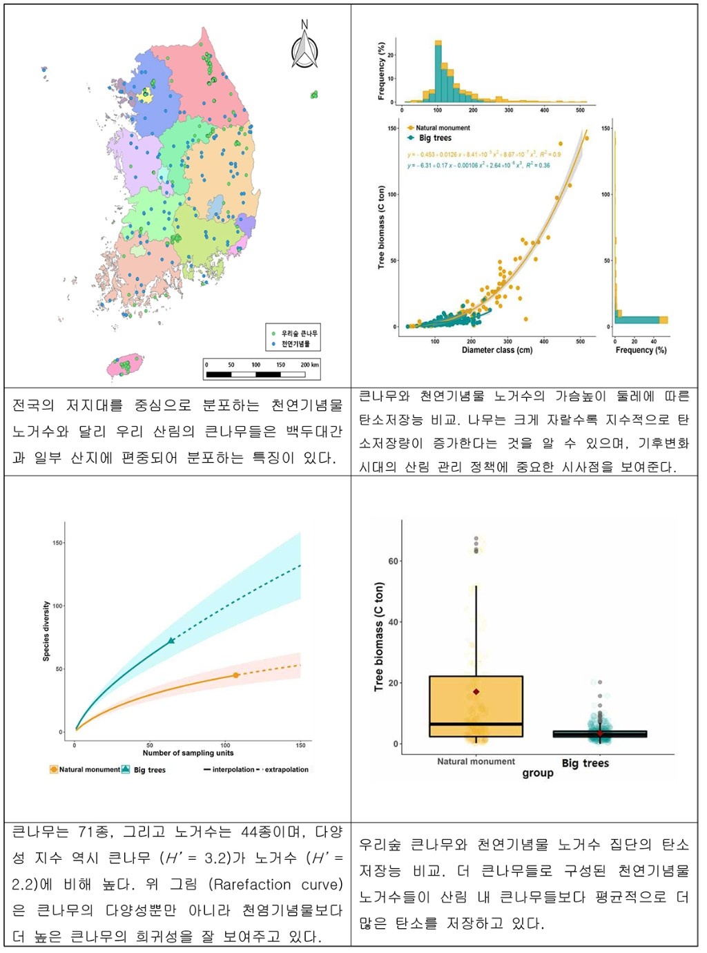 생태역사의+살아있는+화석+우리나라+큰+나무-8.jpg