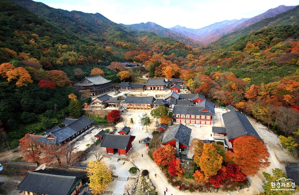 구례1 보도.jpg