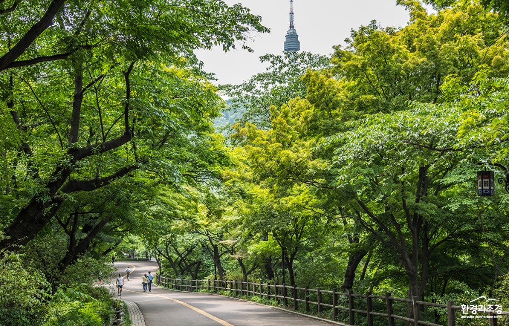 03 남산공원 여름_ 공원사진사 최기곤 보도.jpg