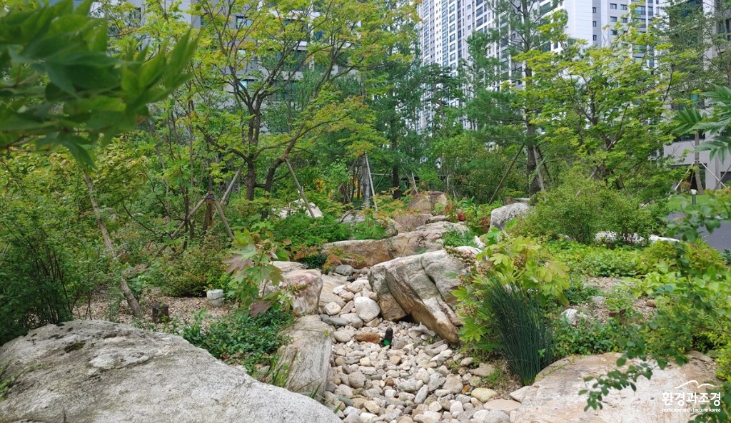 20200724_154155_HDR.jpg