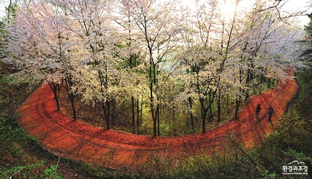 공원 보도.jpg
