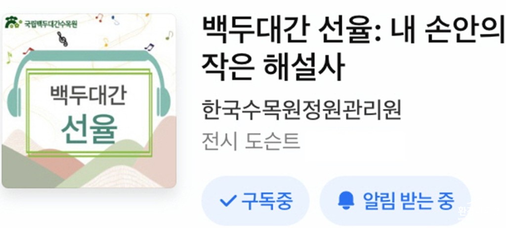 보도.jpg