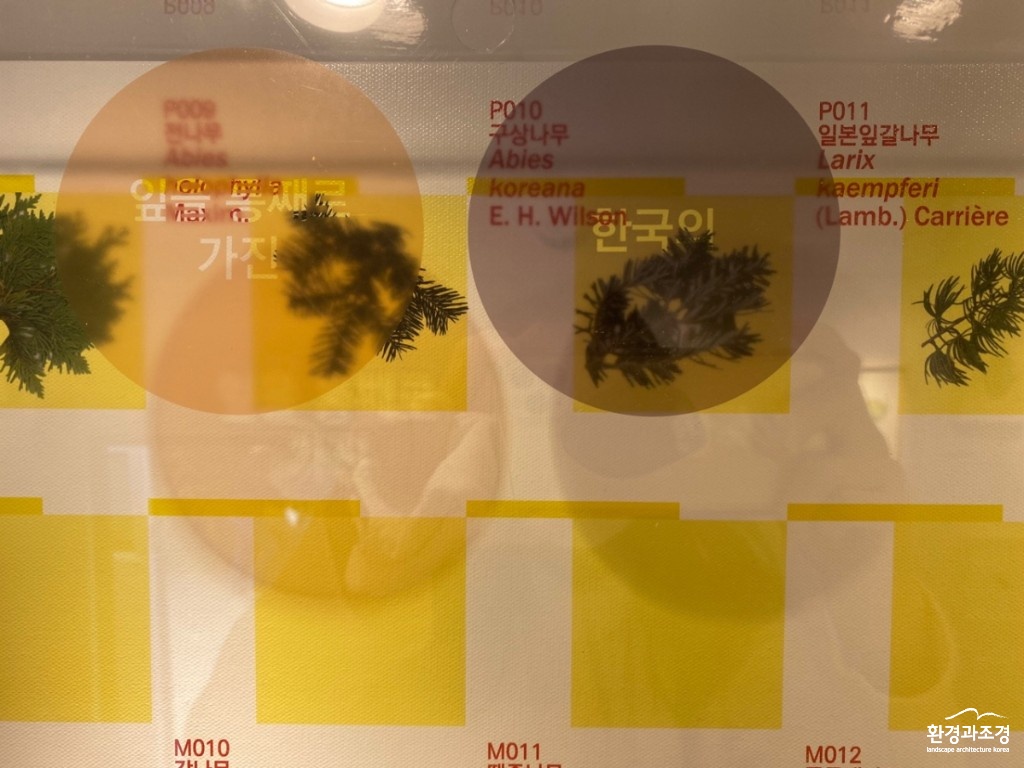 4 전시2_나무 지도_패널 세부컷.jpg