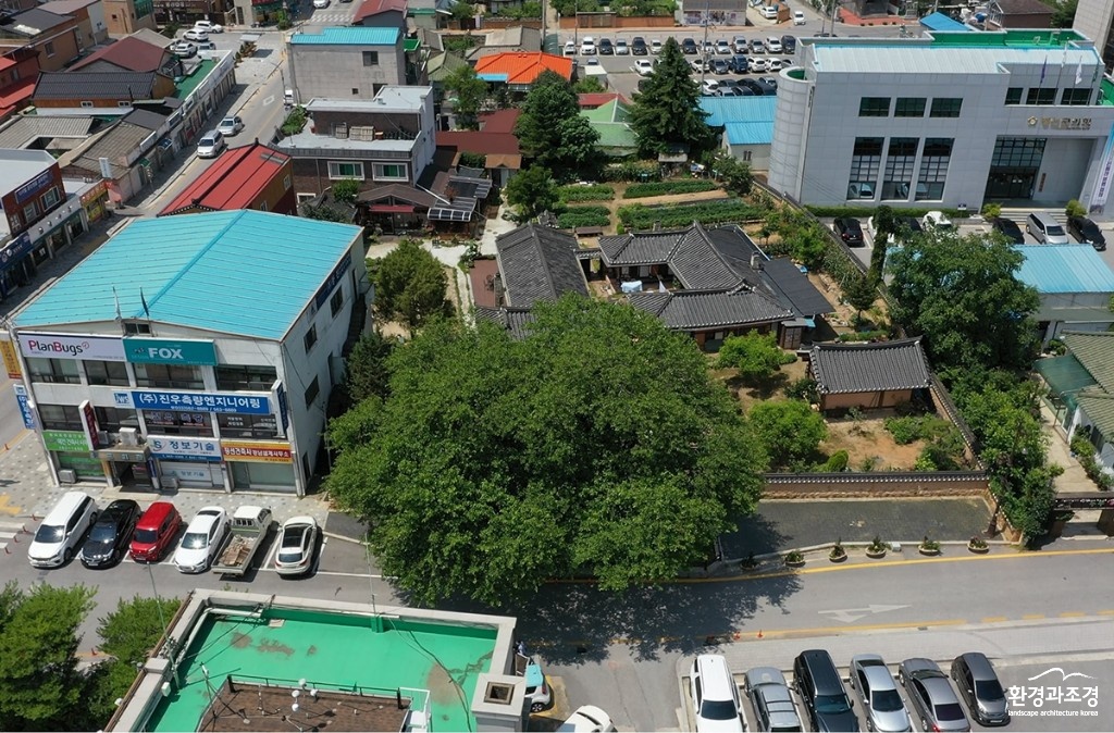 정선 상유재 고택과 뽕나무 항공사진 보도.jpg