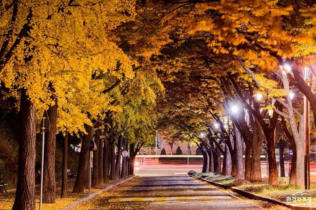 보라매공원 보도.jpg