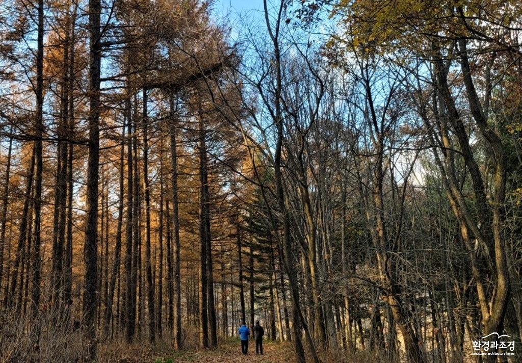 보도.jpg