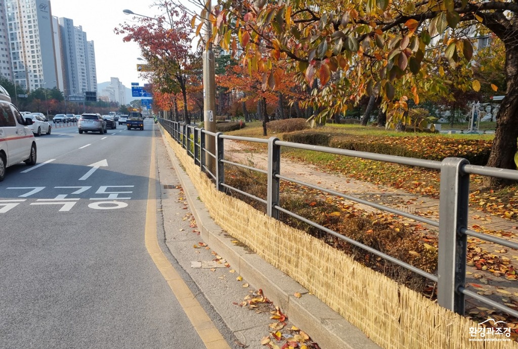 보도.jpg