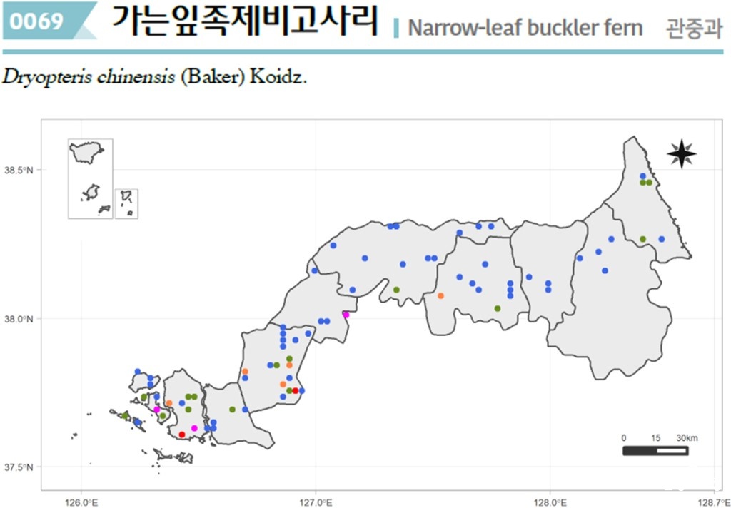 보도.jpg