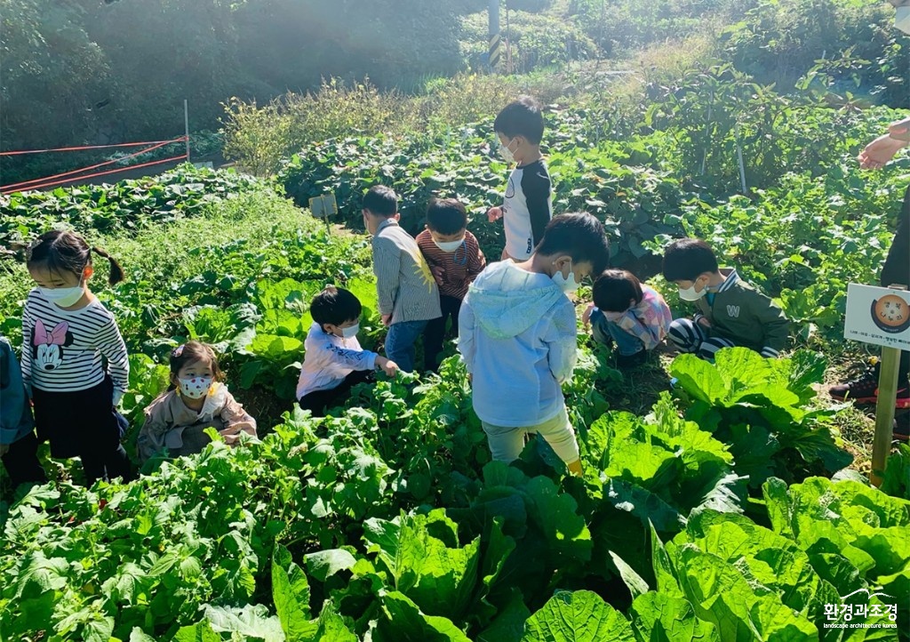 양천구 이음공동체 10월 (텃밭 가꾸기) 보도.jpg