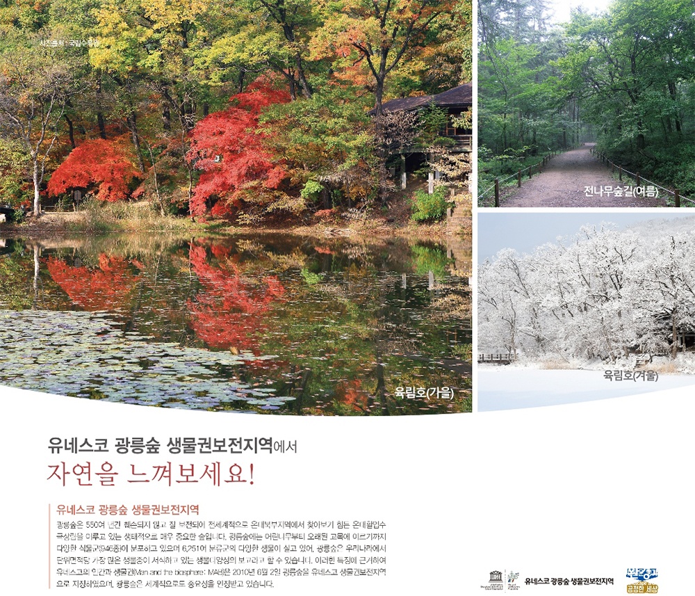광릉숲 유네스코 생물권보전지역 홍보 포스터 (사진=경기도 제공).jpg