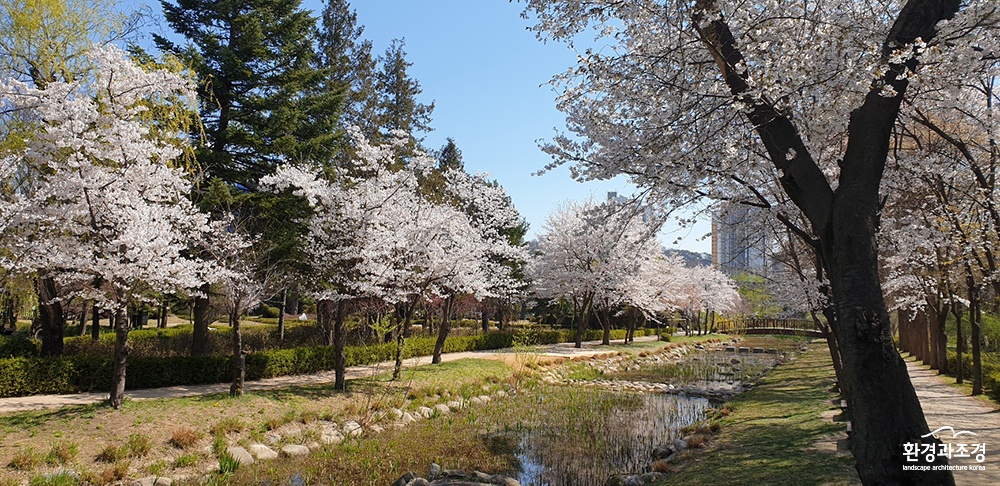 물향기수목원 보도.jpg
