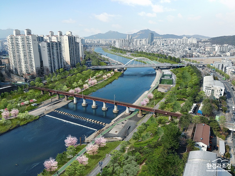 보도도.jpg