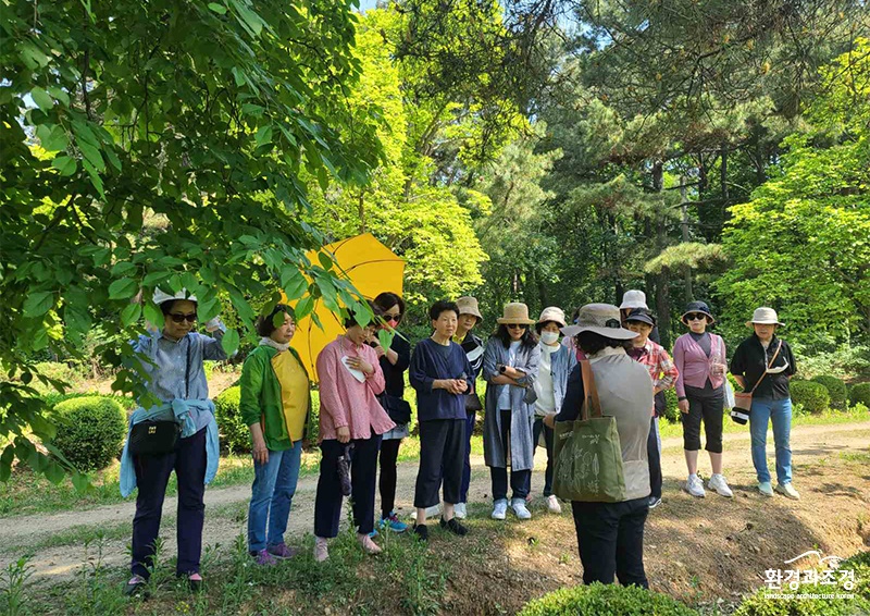 보도보도.jpg